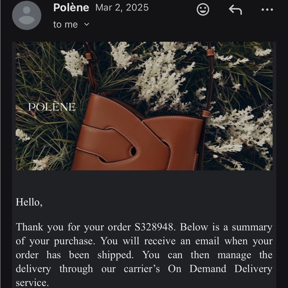 Polène Sept Mini Bag — Chalk / Off White — Excellent Condition - Picture 10 of 13